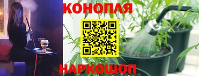 a pvp Аргун