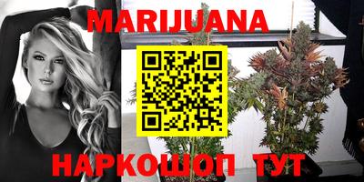 прущие крисы Апшеронск