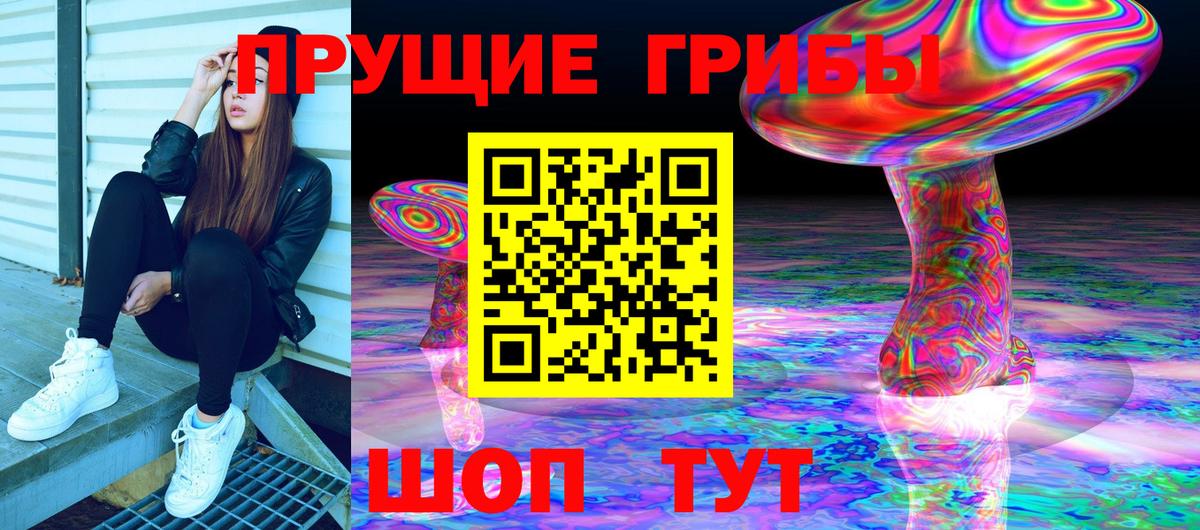 Псилоцибиновые грибы Psilocybine cubensis  Вход с VPN  Барнаул 